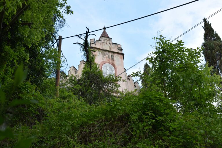 DSC 0004 min 1 768x512