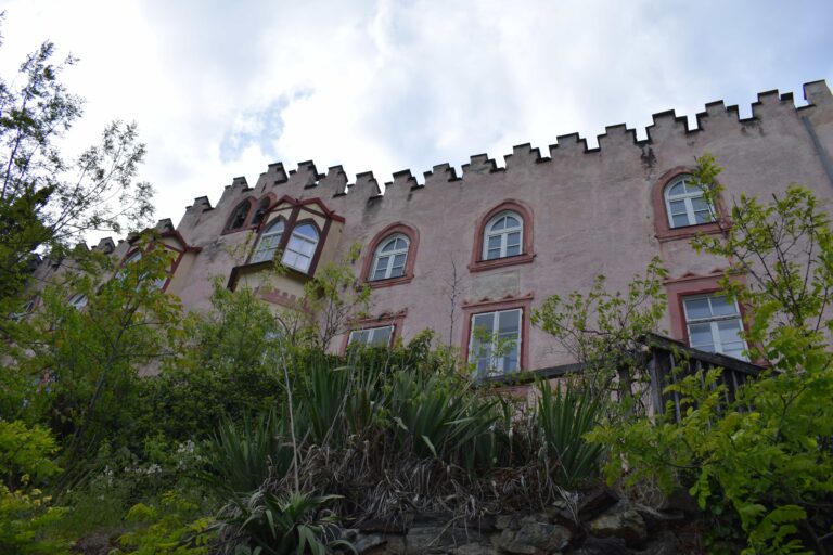 DSC 0007 min 1 768x512