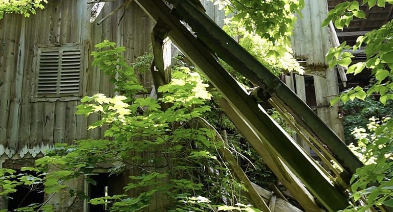Abandoned house with shed 2 IMG 1363 768x416