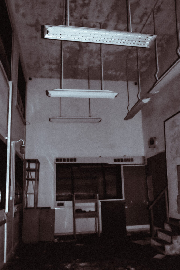 IMG 8299 Original 768x1151