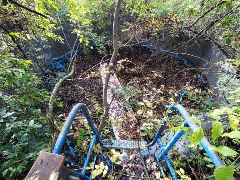 WhatsApp Bild 2024 10 26 um 20.22.20 768x576