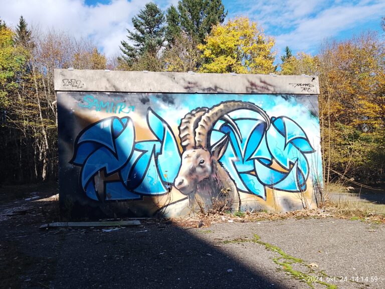 IMG 20241024 141459 768x576