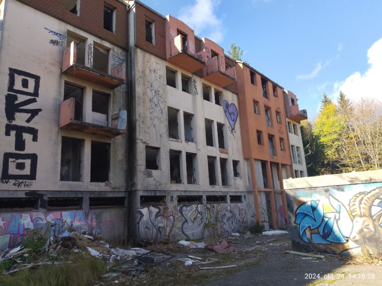 IMG 20241024 141627 768x576