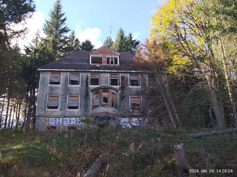 IMG 20241024 142823 768x576