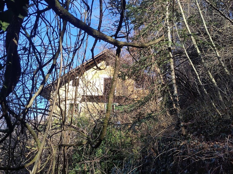 WhatsApp Image 2025 02 04 at 20.32.05 2 768x576