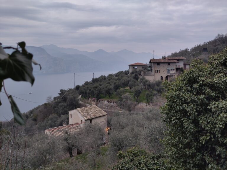 Campo di Brenzone 3 IMG 20250309 175702 768x576