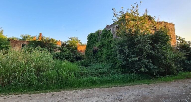 Cascina Torrazza 2 2 768x410