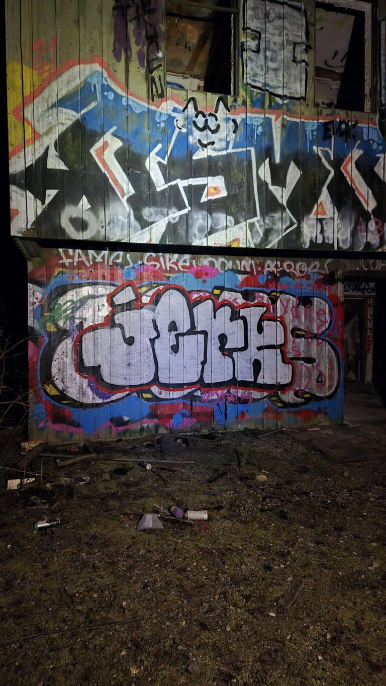 20250124 223831 768x1364