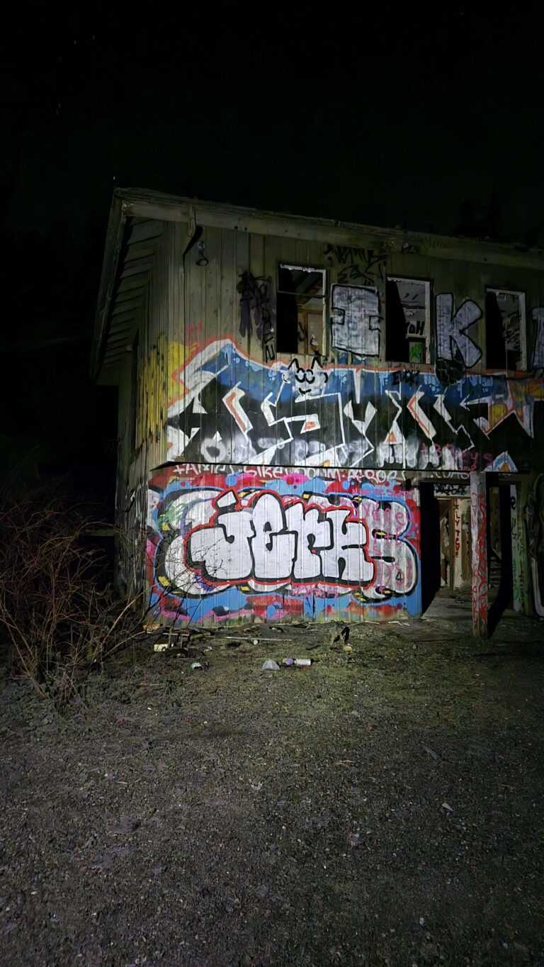 20250124 224949 768x1364