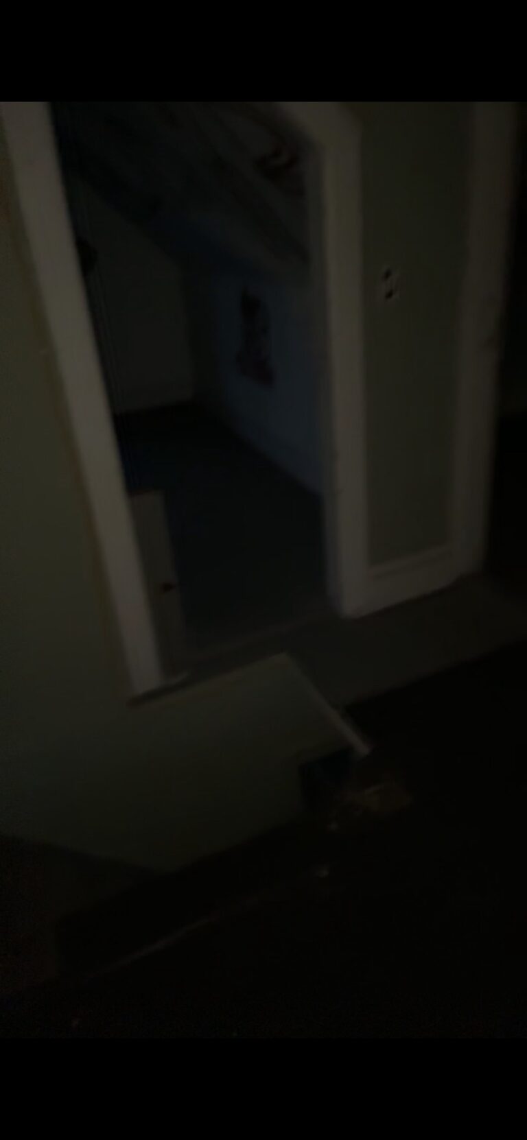 Abandoned House 3 IMG 0243 768x1662