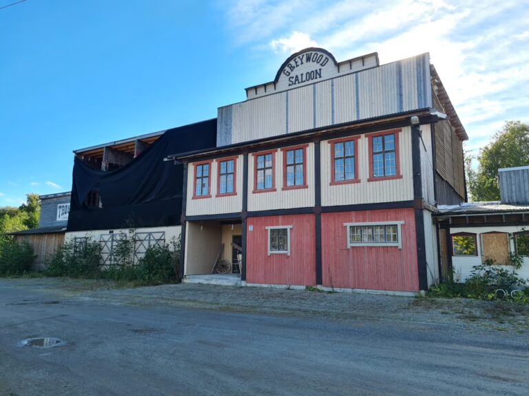 IMG 0954 768x576