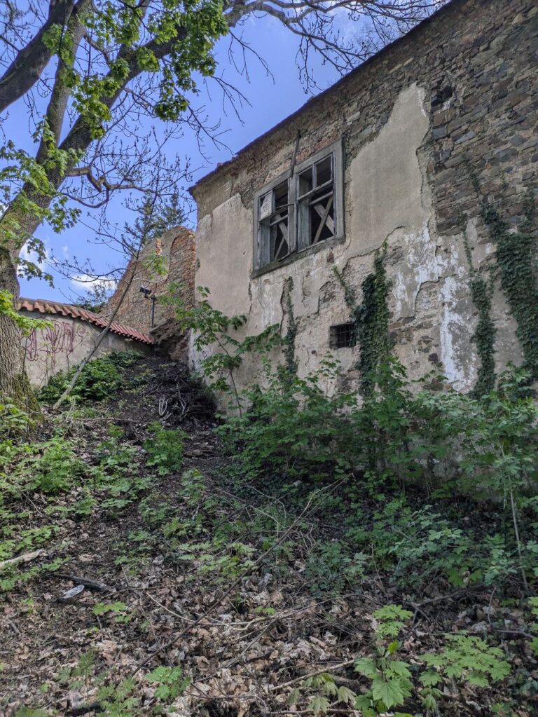 2025 05 04 20.49.13 768x1023