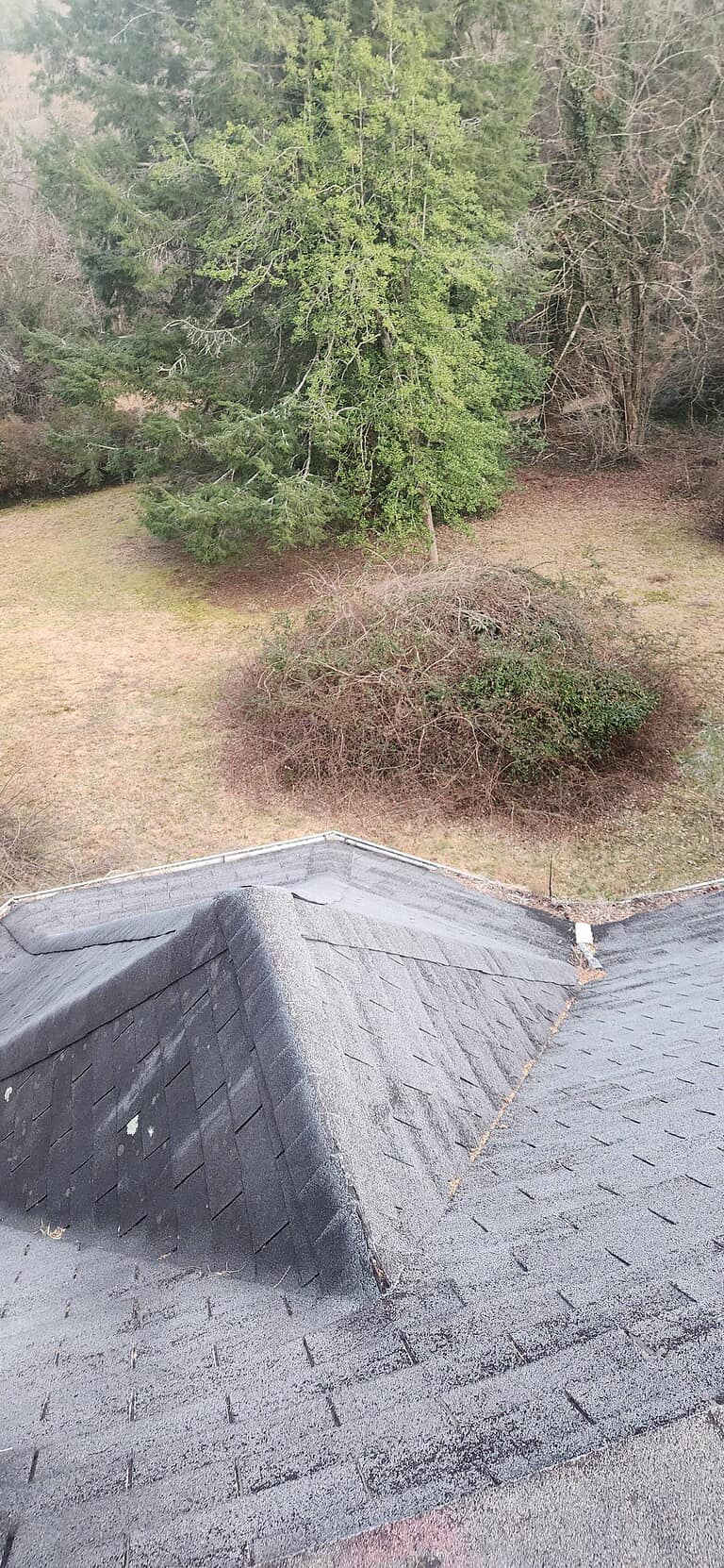 Abandoned Mansion Hendersonville 2 20250208 174609 768x1662