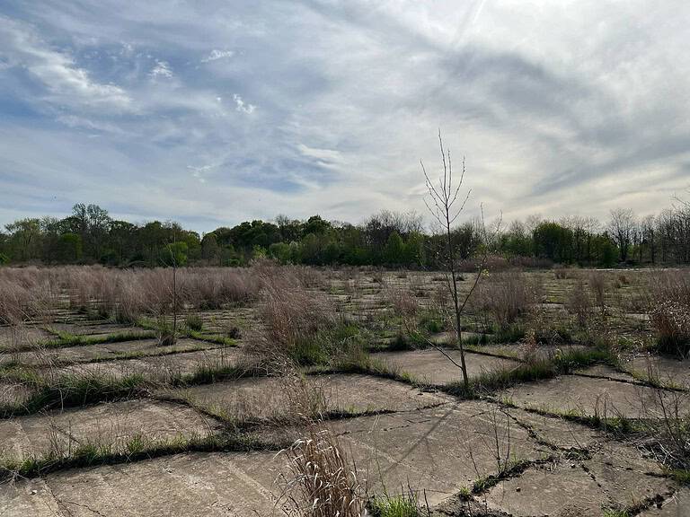 89fbffe5 66c3 480c 8333 36cd4cbf18c0 768x576