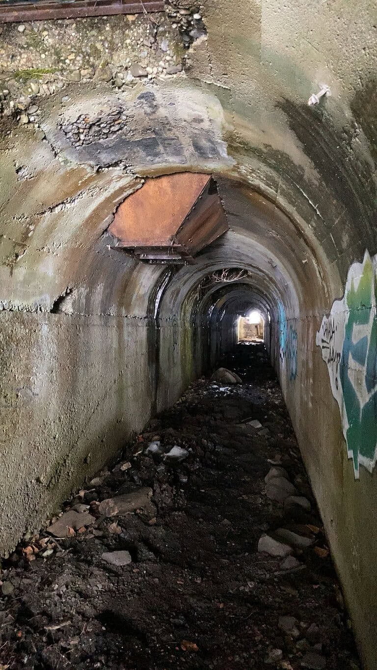 Hosmer bc Canada 2 IMG 7715 768x1365