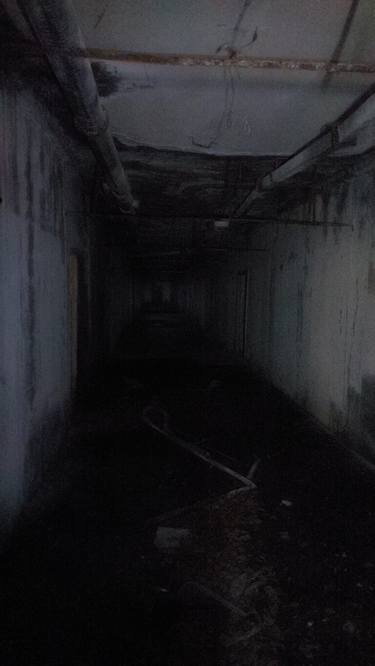 1000028231 768x1364