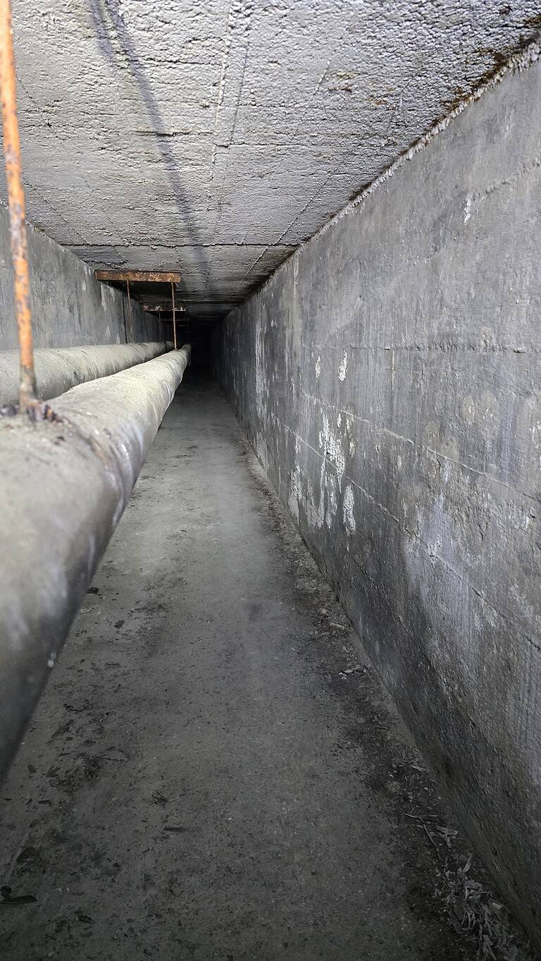 20241230 220459 768x1364