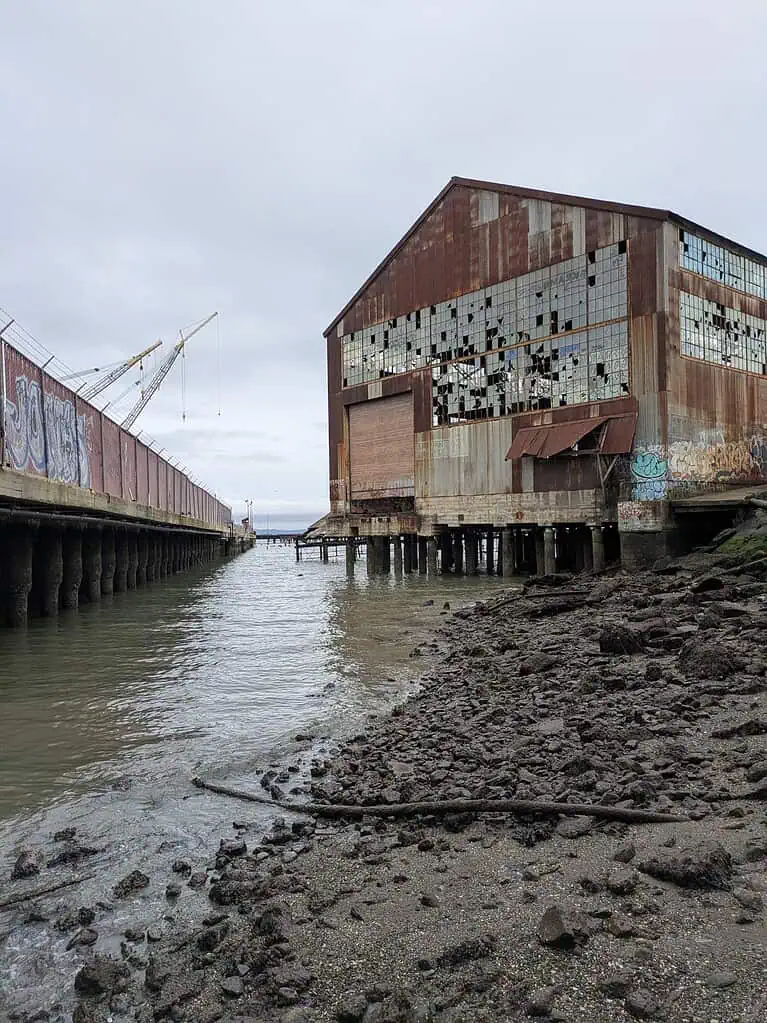 PXL 20241226 223704878 1 768x1023