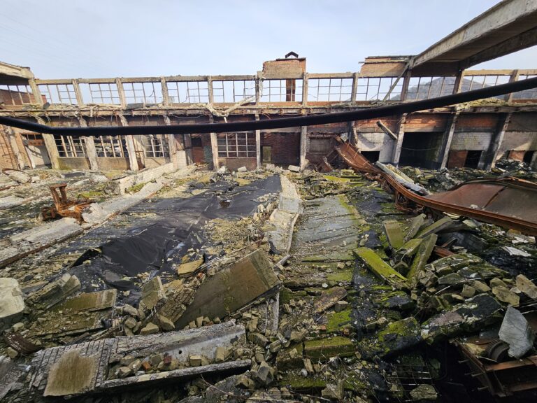 20250215 142517 768x576