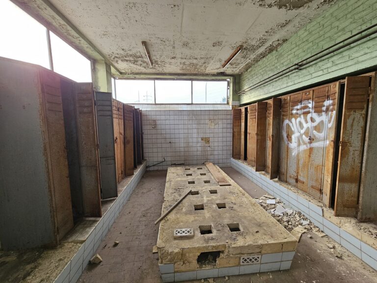 20250215 153403 768x576