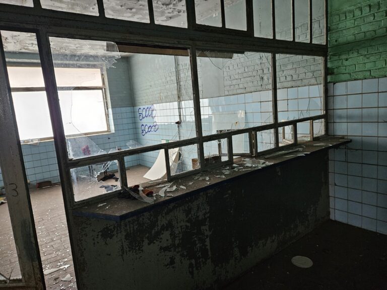 20250215 154000 768x576