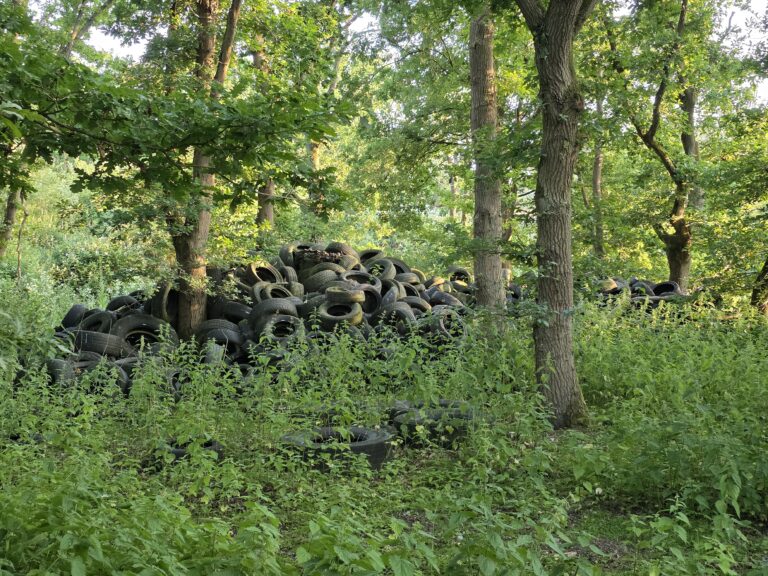 20250612 200056 768x576