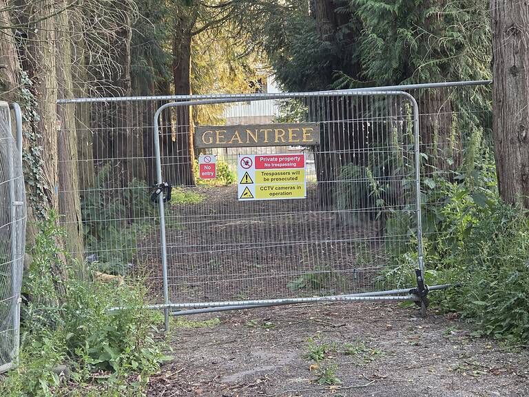 20250612 200612 768x576