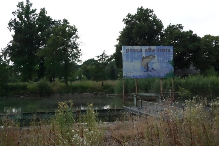 Città Satellite / Greenland 5 DSC01602 768x512