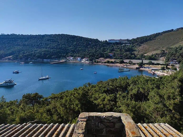 IMG 20250630 181525 768x576