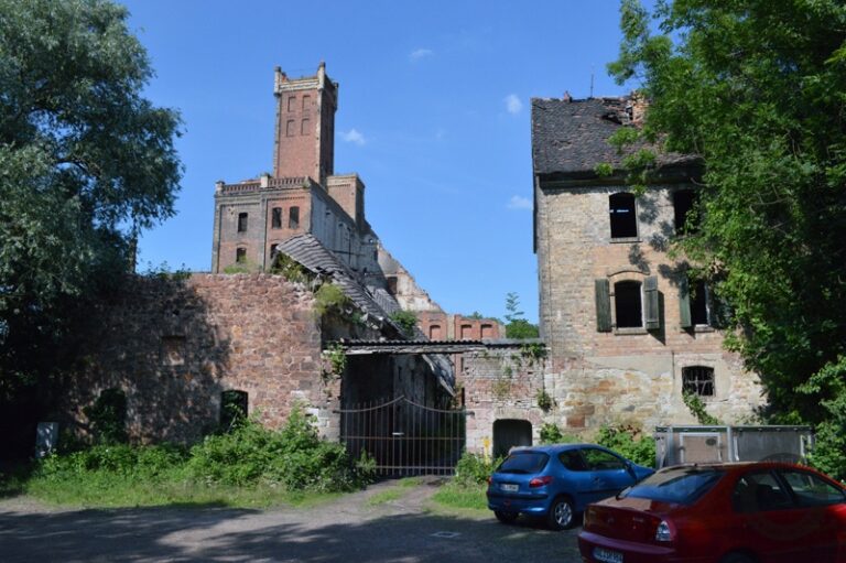 Article about the Mill