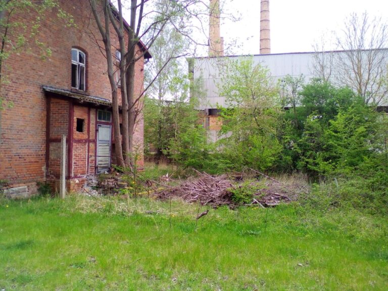 ketelshagen ausen 768x576