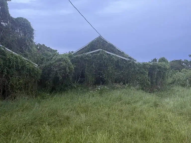 Altes, verlassenes Haus hinter einer Schule 2 IMG 1195 768x576