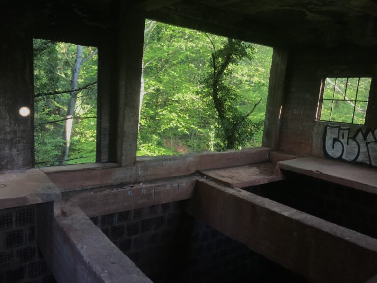 Kleine Turm im Wald 3 IMG 4693 768x576