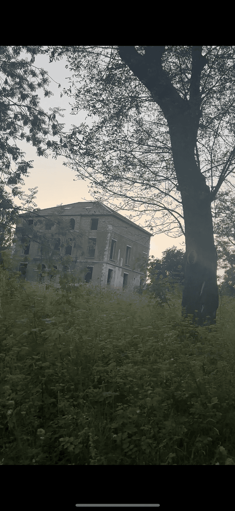 Mansion (no name) 2 IMG 5722 768x1665