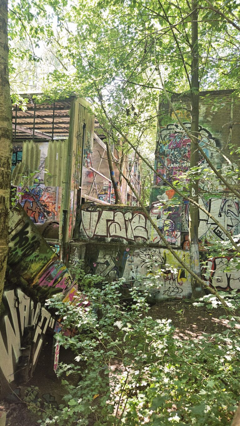 20250719 135246 768x1364