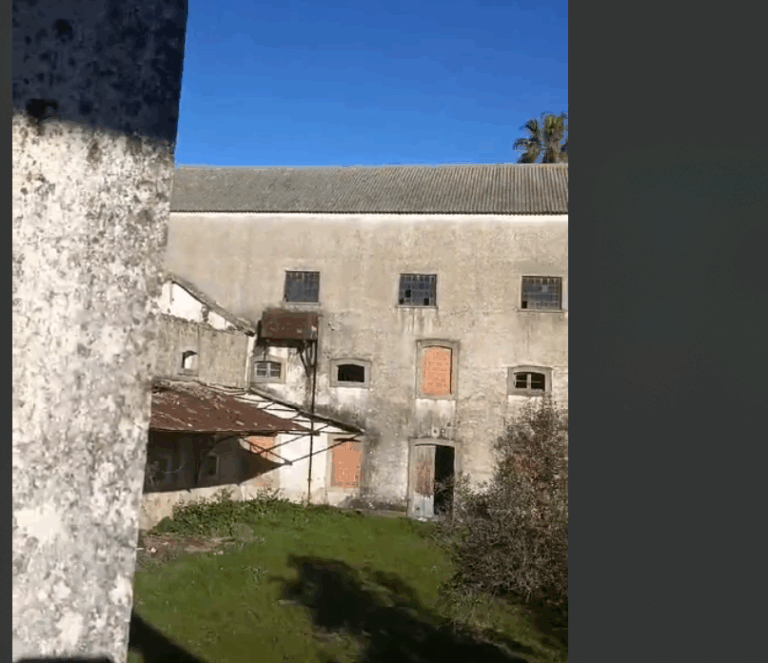 Captura de ecra 2025 07 13 000653 768x663