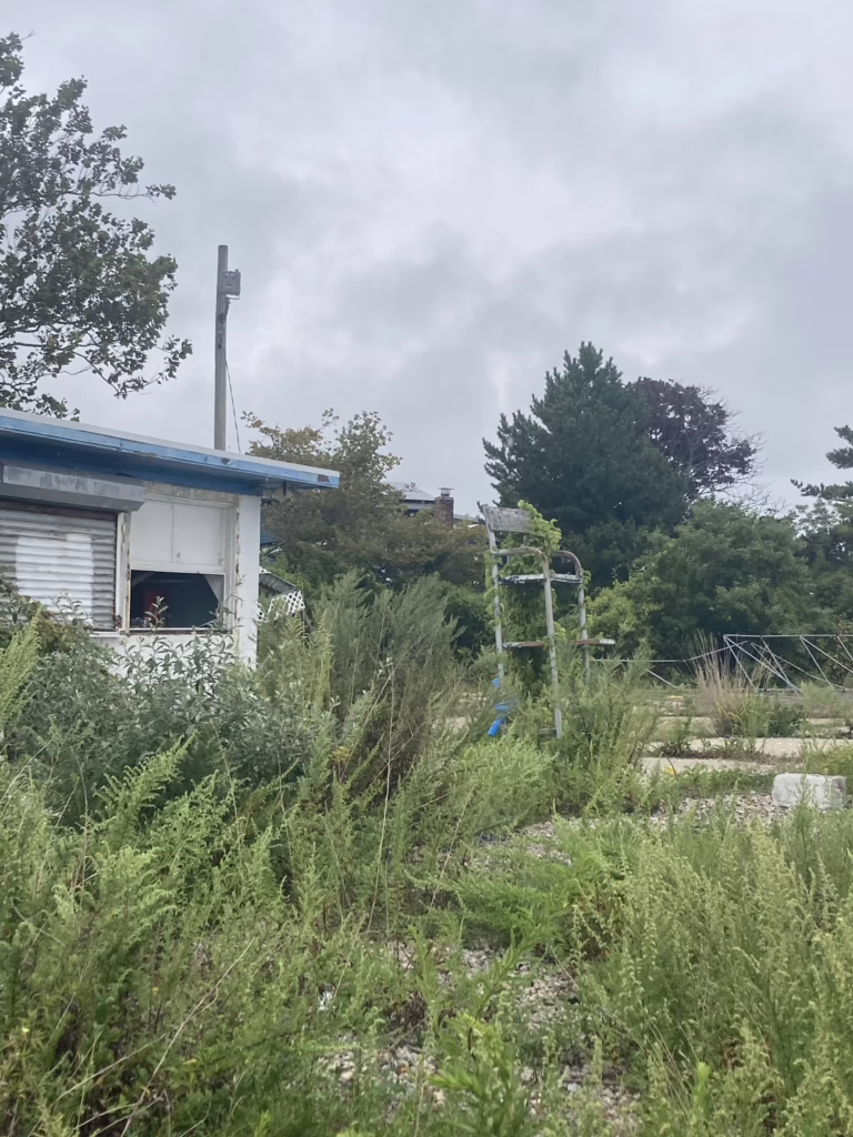 Oakwood Beach Club 4 IMG 4371 768x1024