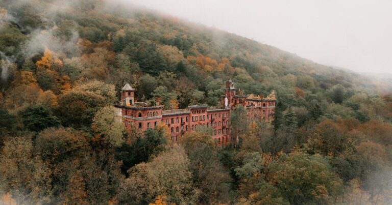 635830f495657.preview 768x403