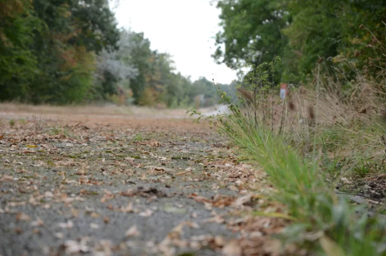 A601 - Die vergessene Autobahn von Lüttich 2 DSC 0171 skaliert.jpg 768x509