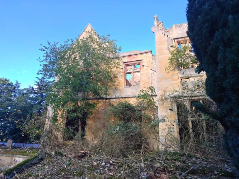 IMG 20251026 WA0014 768x576