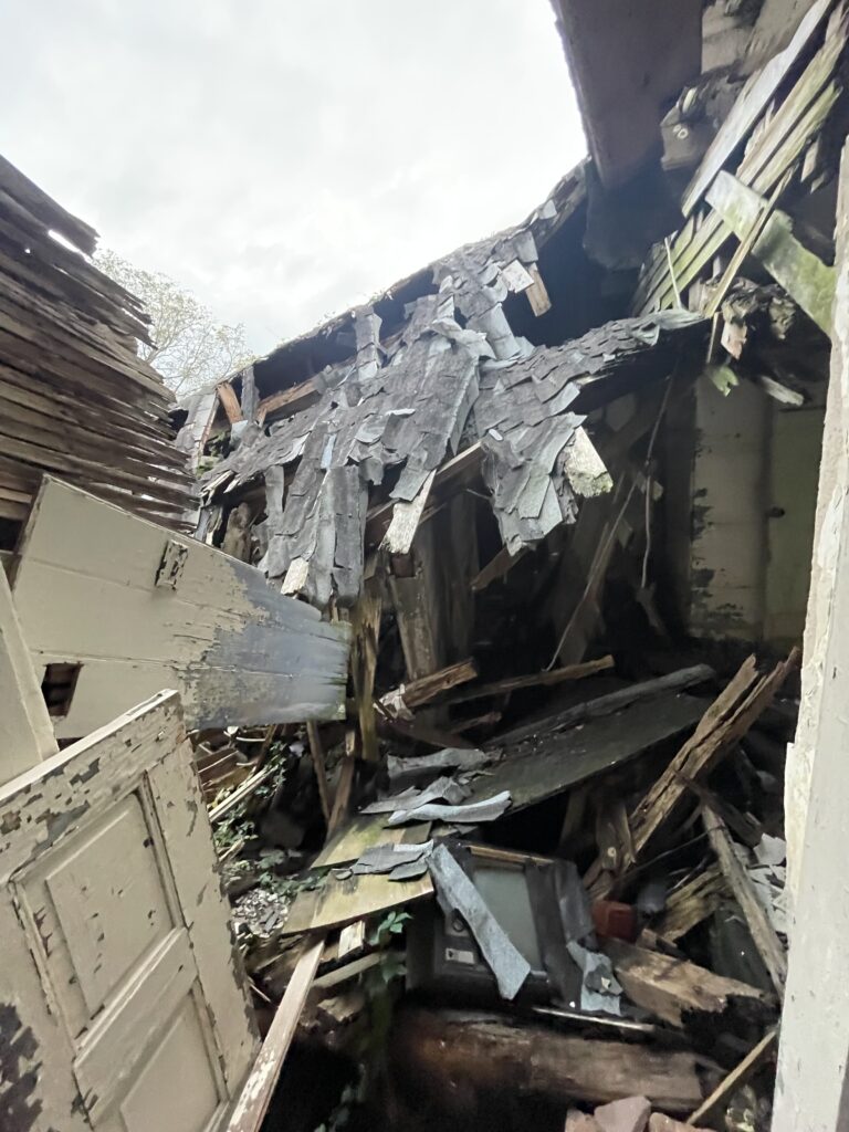 Rotting Family Home 4 IMG 0751 768x1024