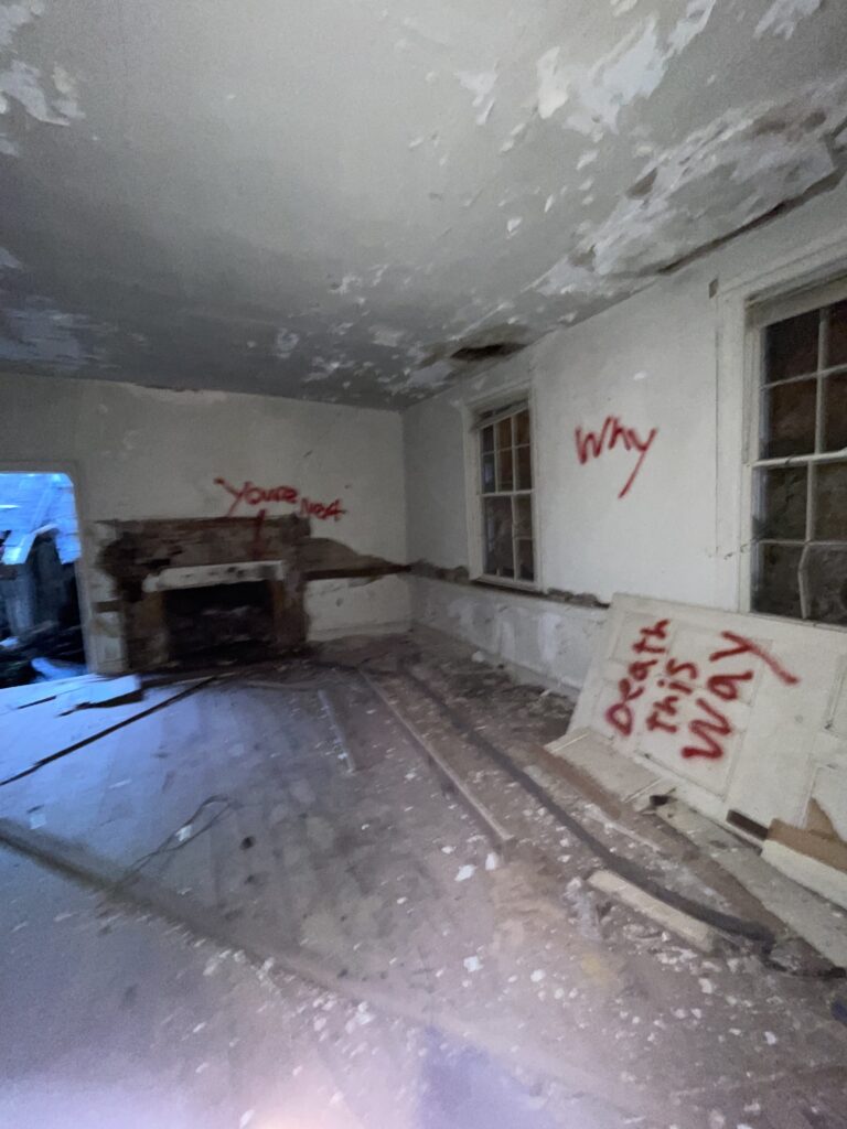 Rotting Family Home 2 IMG 0752 768x1024