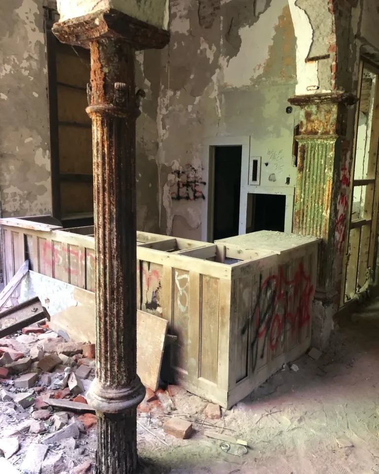 utente 3133514 de9b0456 4ce0 42e7 8081 9e38a155477a 768x960