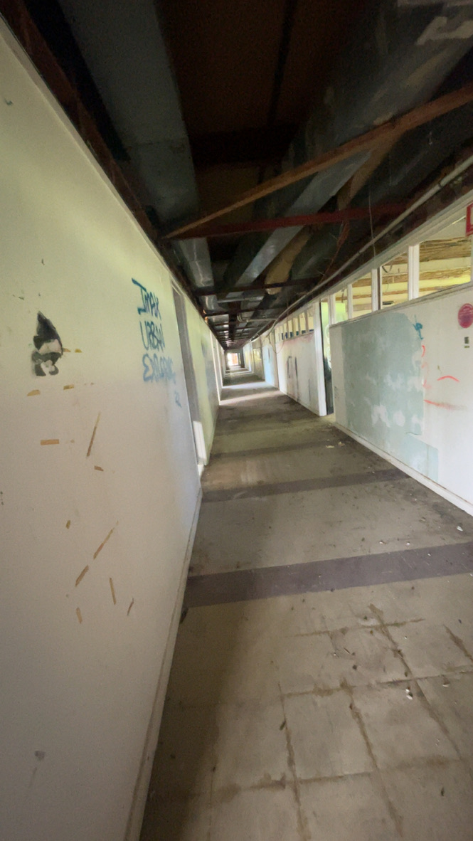 205451D9 B414 4114 A506 257F20F84900 1 105 c