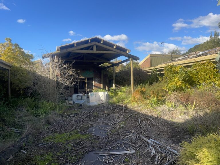 235B6BFC AE9A 47BD 91FA 1377F39D8031 1 105 c 1 768x576