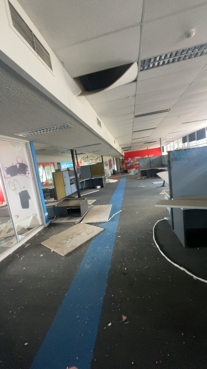 7CDBBF3C C62E 4182 95C2 0CC76964C8AC 1 105 c