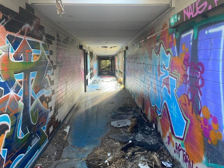 BD4F1674 3D16 4A5C A1E2 8166BAC169E5 1 105 c 1 768x576