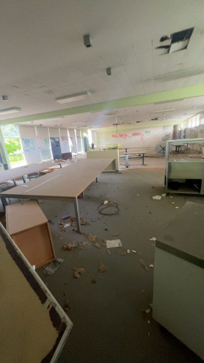 E430AE8D AE6F 4E82 8F15 245119D0AAD4 1 105 c