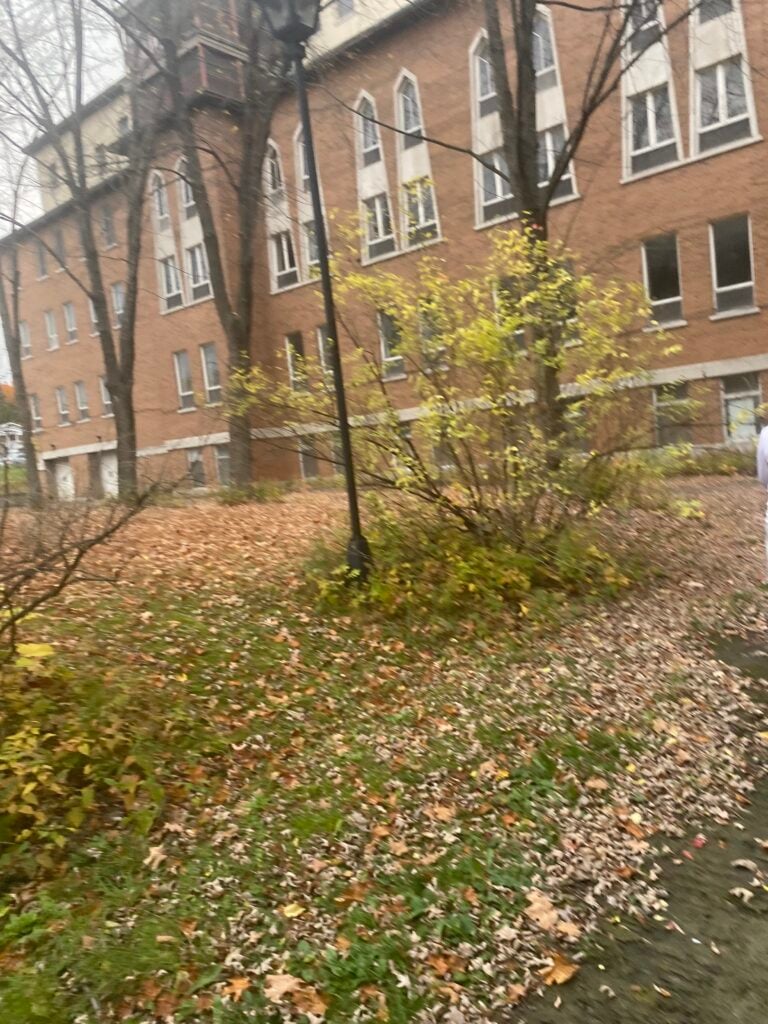 Abandoned Retirement home 2 IMG 5680 768x1024