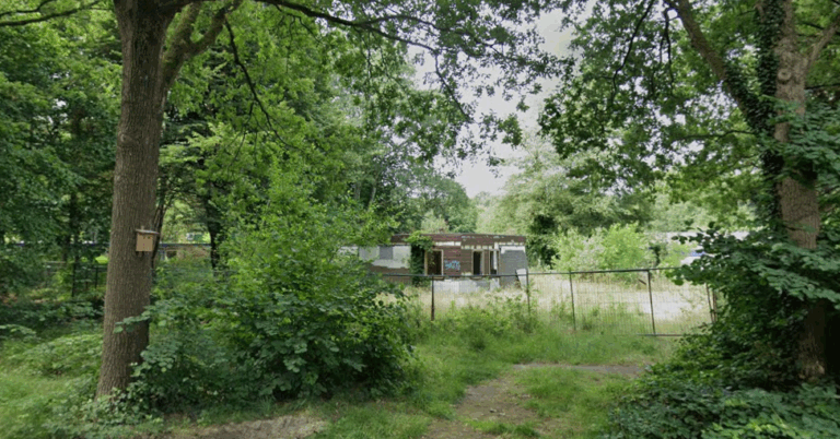 Screenshot 2025 11 02 233146 768x402